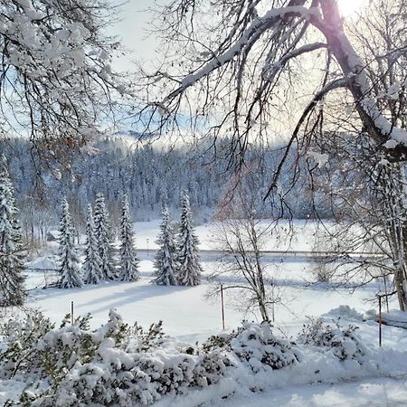 Appartement Wieser Ramsau am Dachstein Kültér fotó